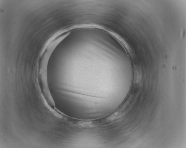 X0000083651006200702261111