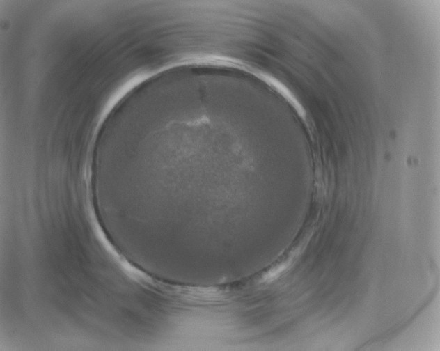 X0000083651007200702261111