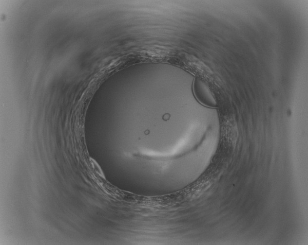 X0000083651009200702261110