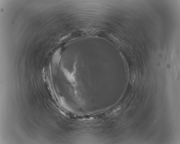 X0000083651010200702261110