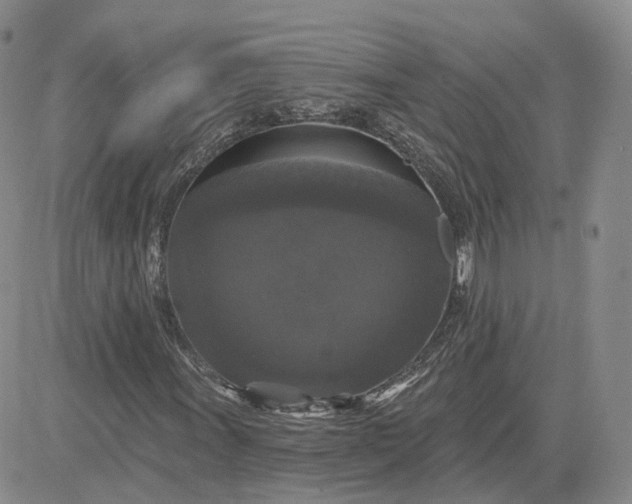 X0000083651011200702261110