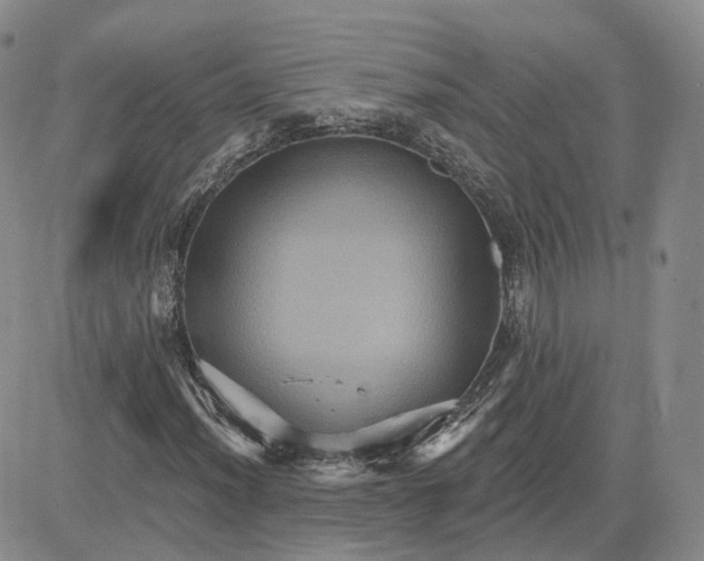 X0000083651012200702261110