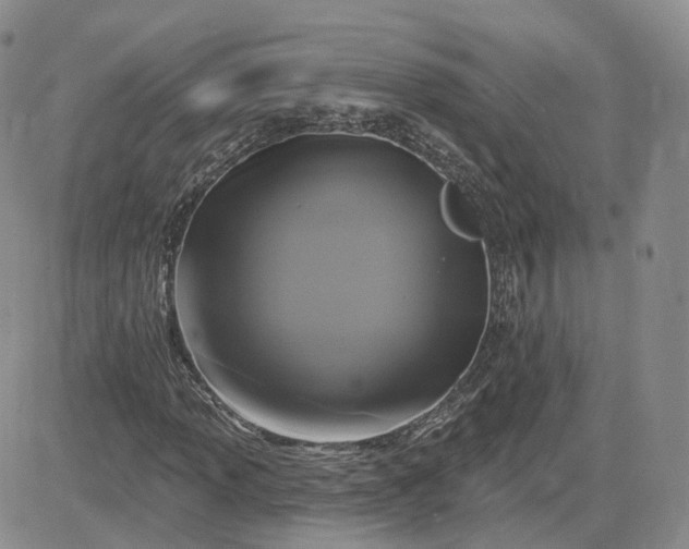 X0000083651013200702261110