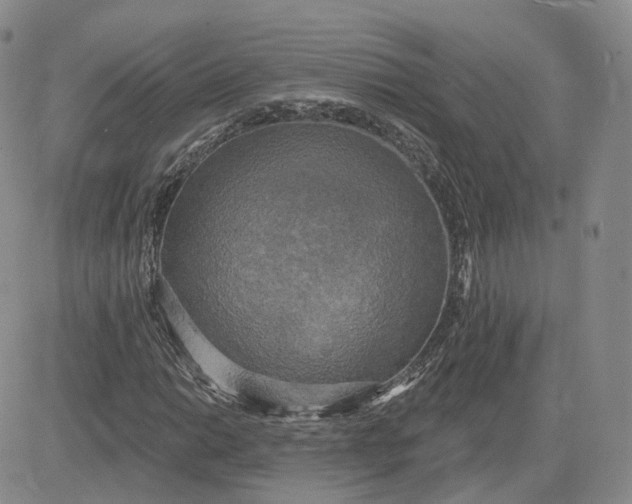 X0000083651014200702261110