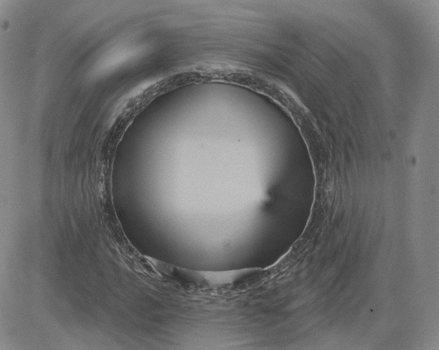 X0000083651016200702261110