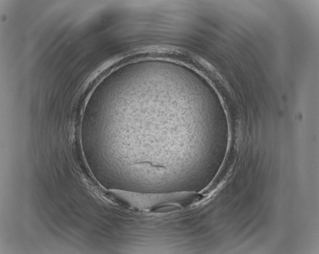 X0000083651017200702261110