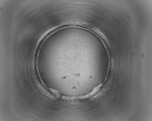 X0000083651020200702261111