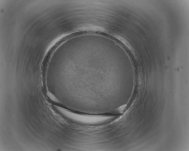 X0000083651022200702261111