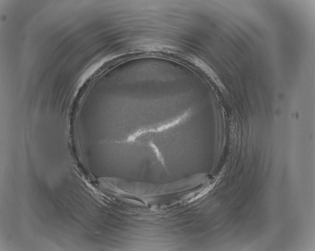 X0000083651023200702261111