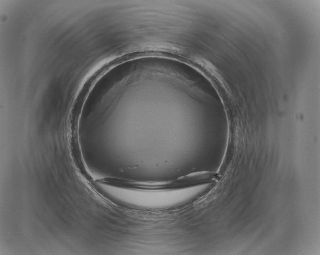 X0000083651024200702261111