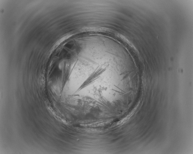 X0000083651025200702261111