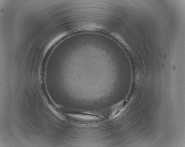 X0000083651026200702261111