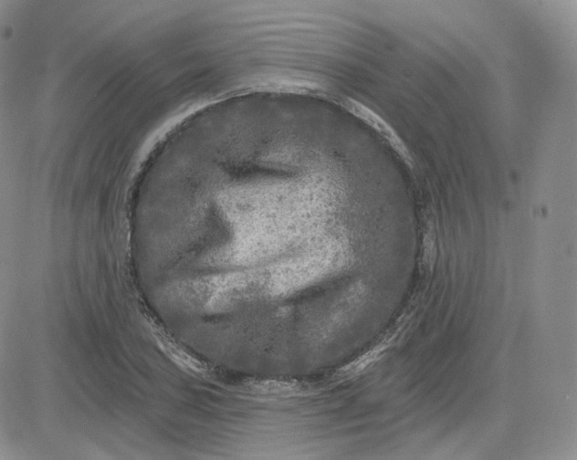 X0000083651027200702261111