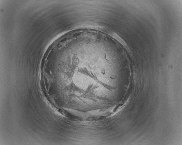 X0000083651028200702261111