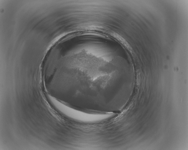 X0000083651031200702261111