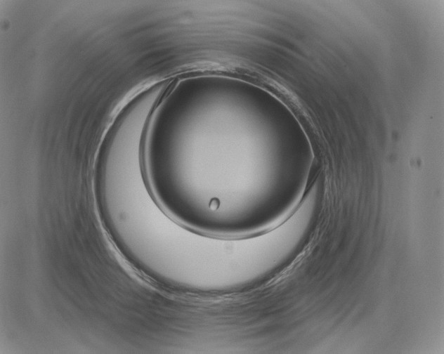 X0000083651034200702261111