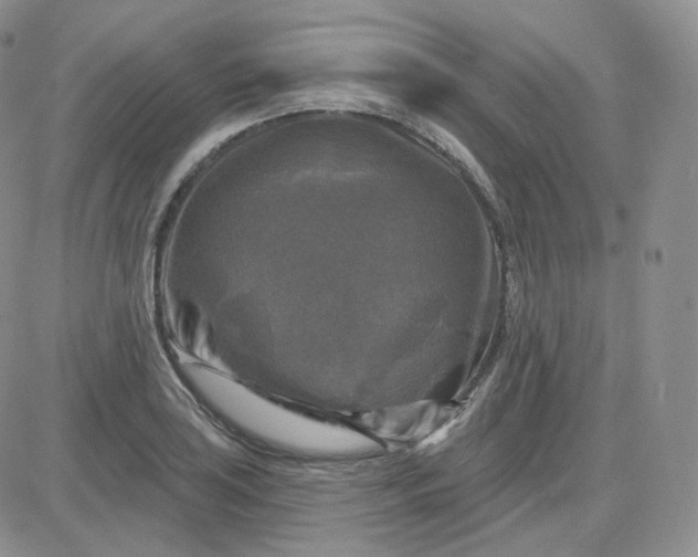 X0000083651035200702261111