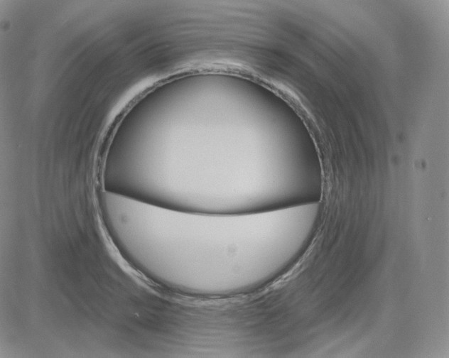 X0000083651038200702261111