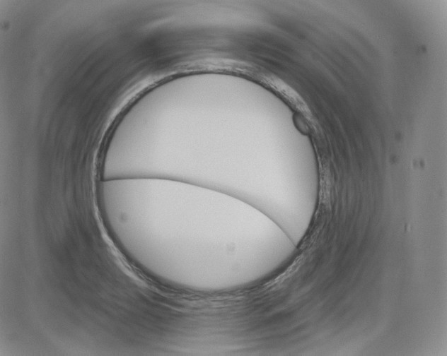 X0000083651039200702261111