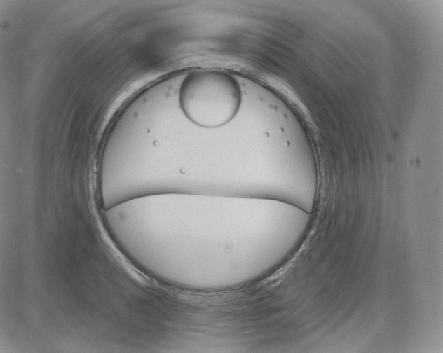 X0000083651040200702261111