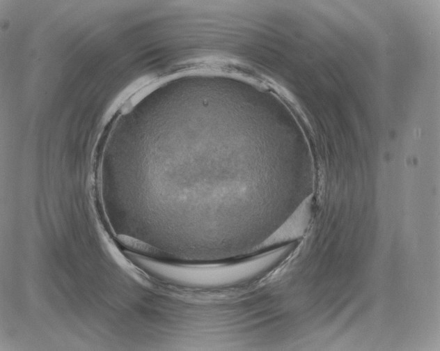 X0000083651042200702261111