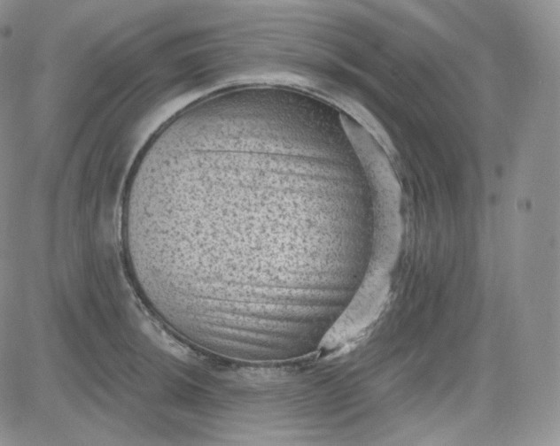 X0000083651044200702261111