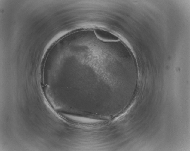 X0000083651045200702261111