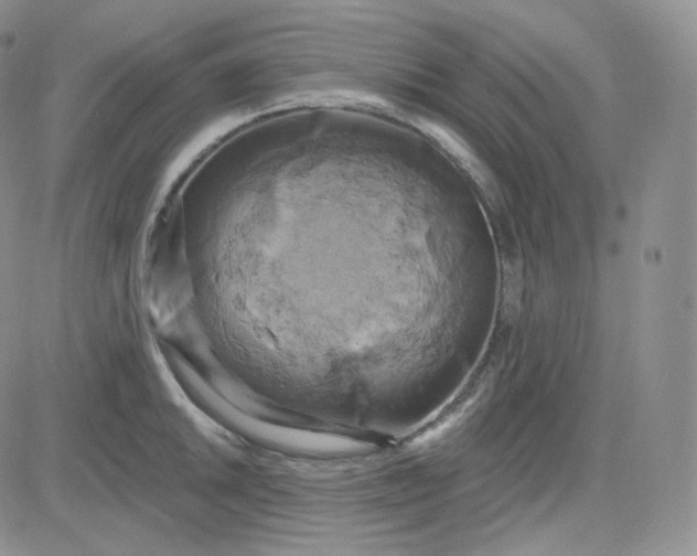 X0000083651046200702261111