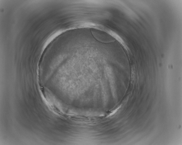 X0000083651047200702261111