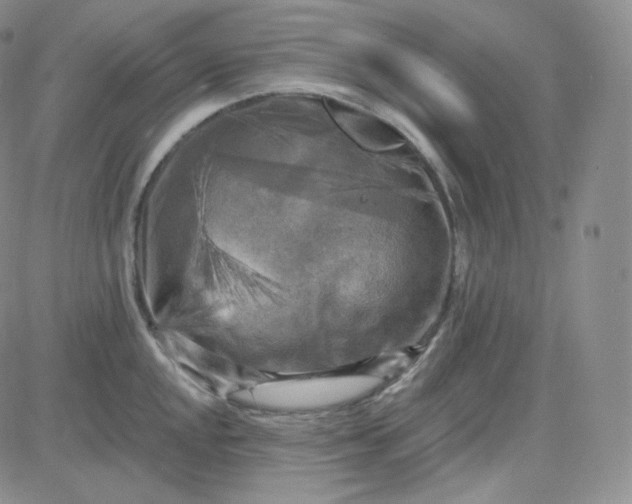 X0000083651048200702261111