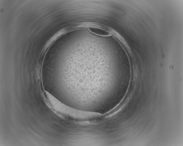 X0000083651049200702261111