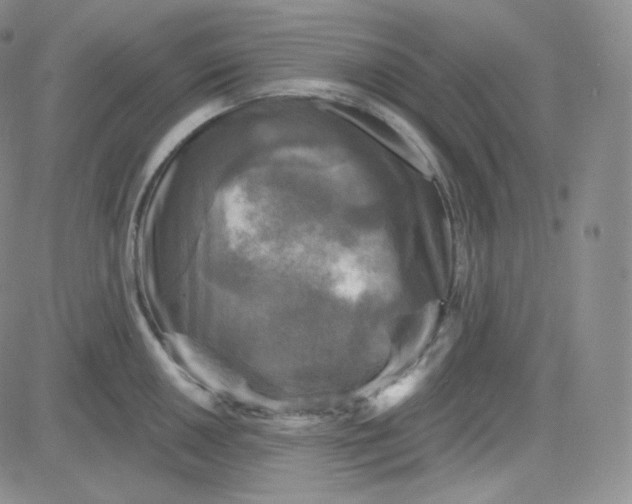 X0000083651050200702261111