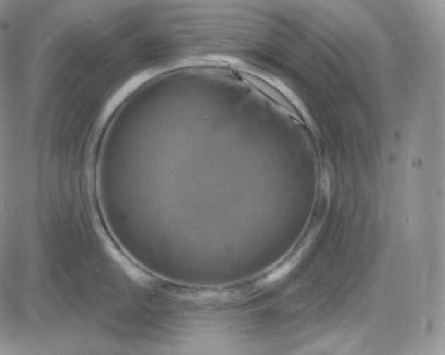 X0000083651054200702261111