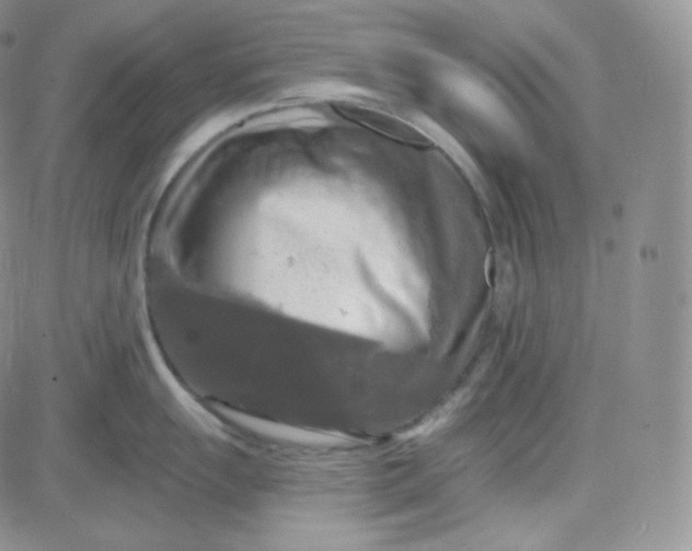 X0000083651055200702261111