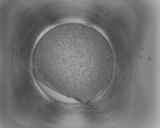 X0000083651056200702261111