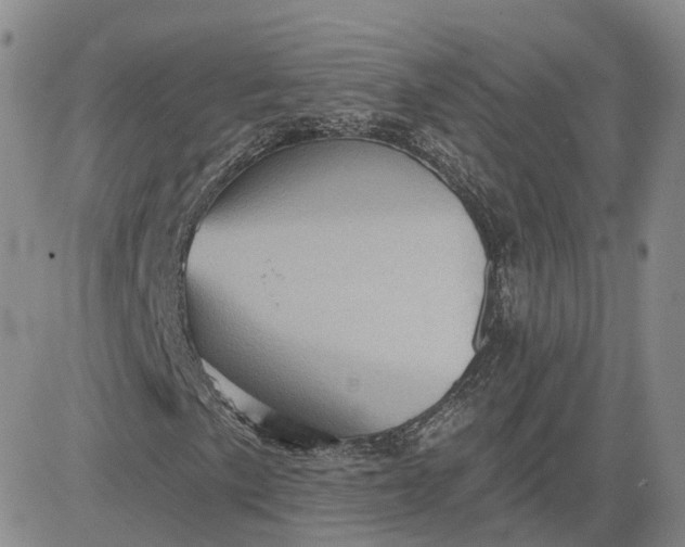 X0000083651057200702261110