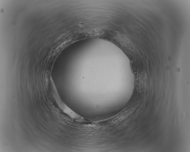 X0000083651058200702261110