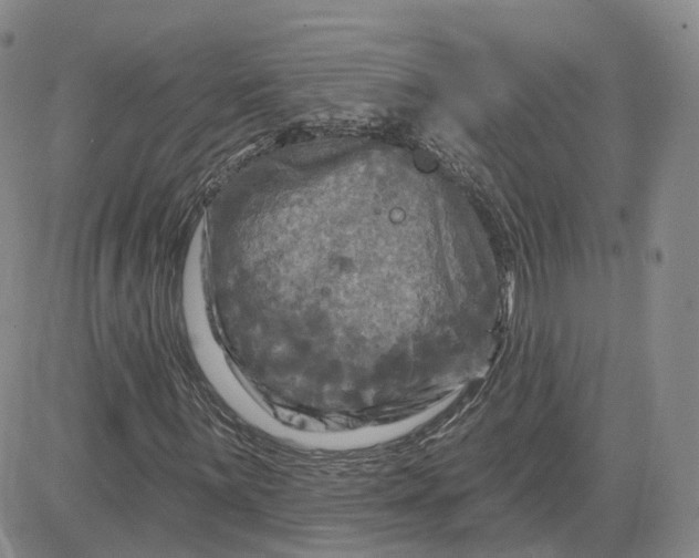 X0000083651059200702261110