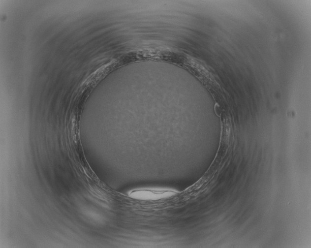 X0000083651060200702261110