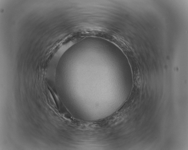 X0000083651061200702261110