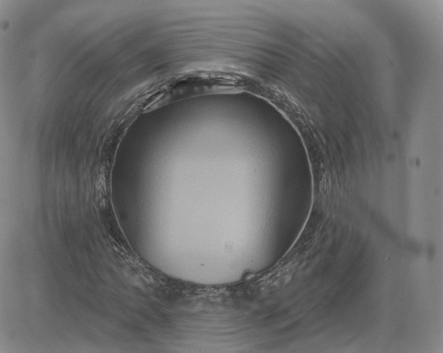 X0000083651062200702261110