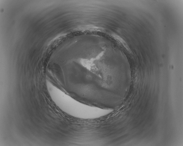 X0000083651063200702261110