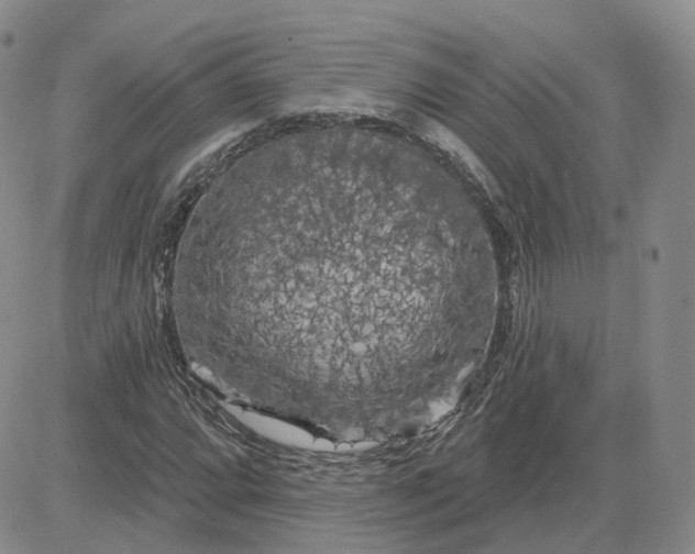 X0000083651064200702261110