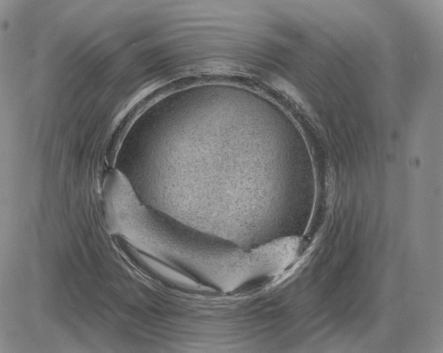 X0000083651065200702261110