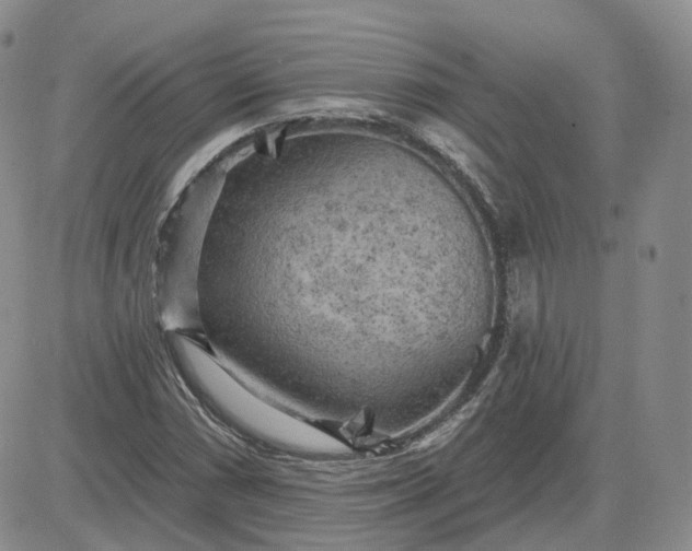 X0000083651066200702261110