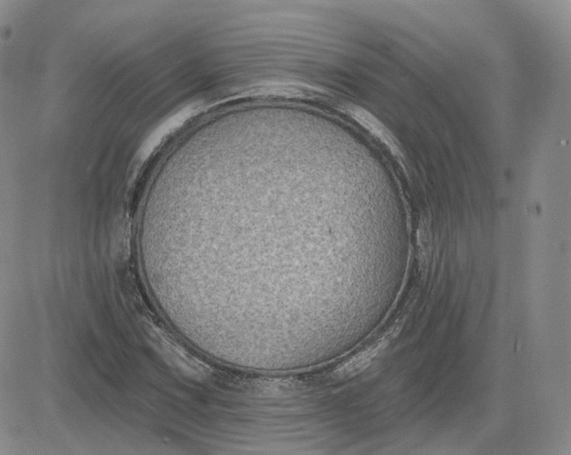 X0000083651067200702261110