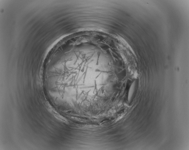 X0000083651068200702261110