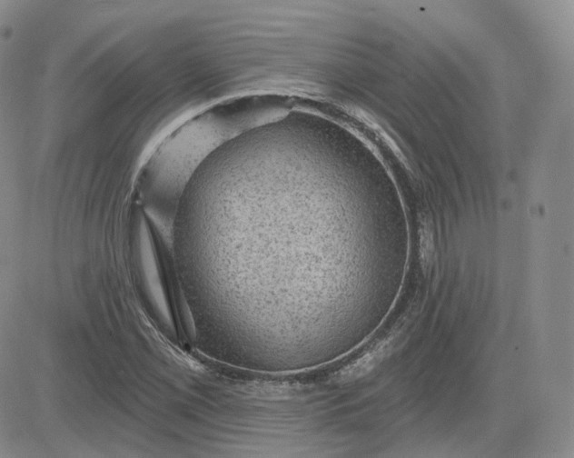 X0000083651069200702261110