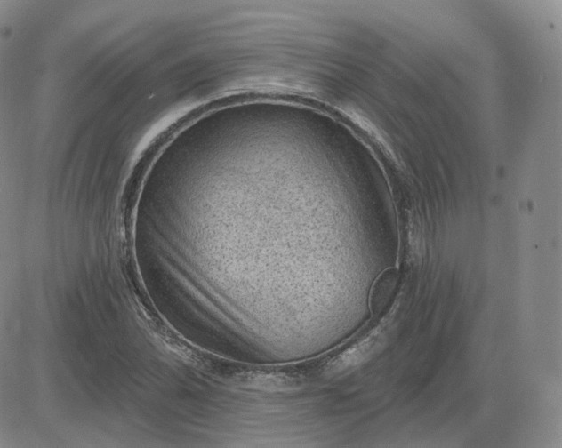 X0000083651070200702261110