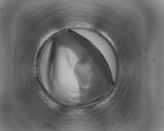 X0000083651071200702261110